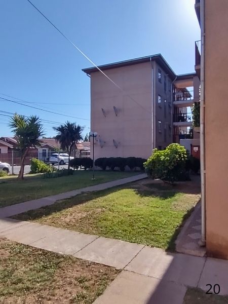 Miniatura 19