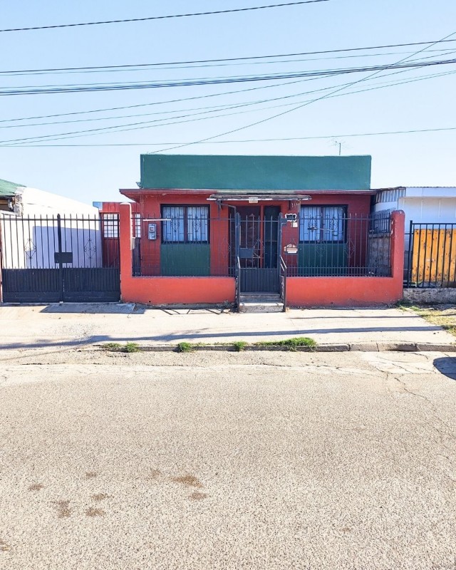Miniatura 31