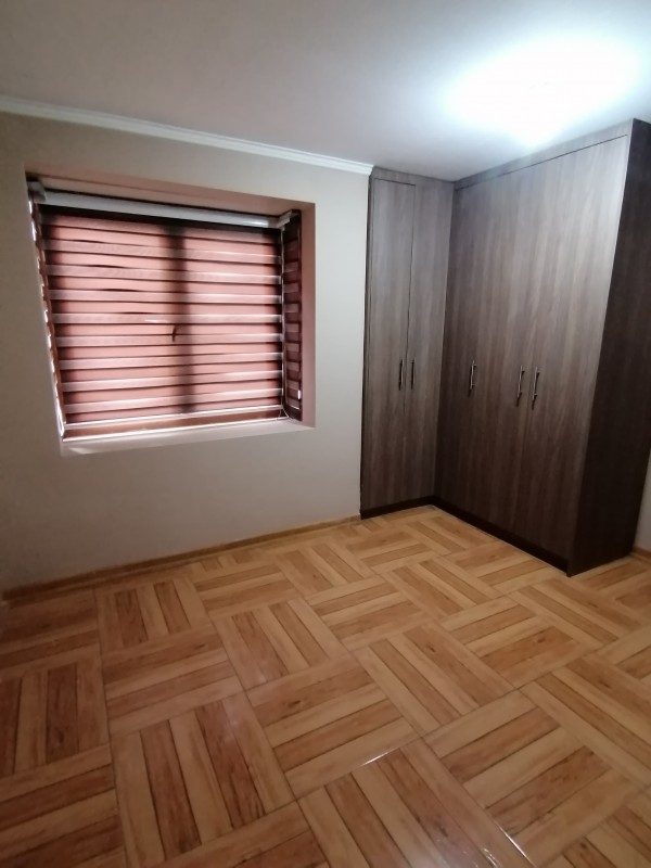 Miniatura 113