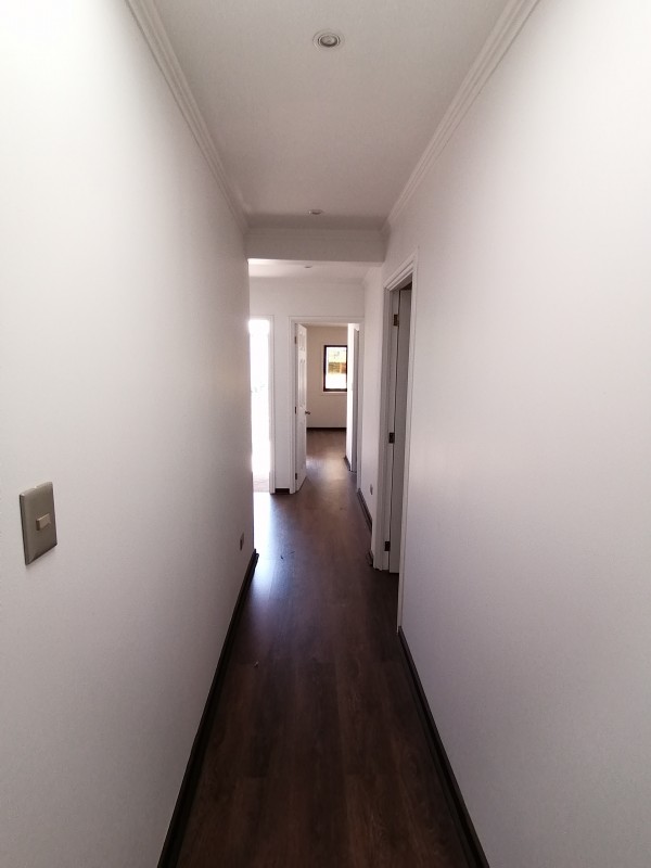 Miniatura 52